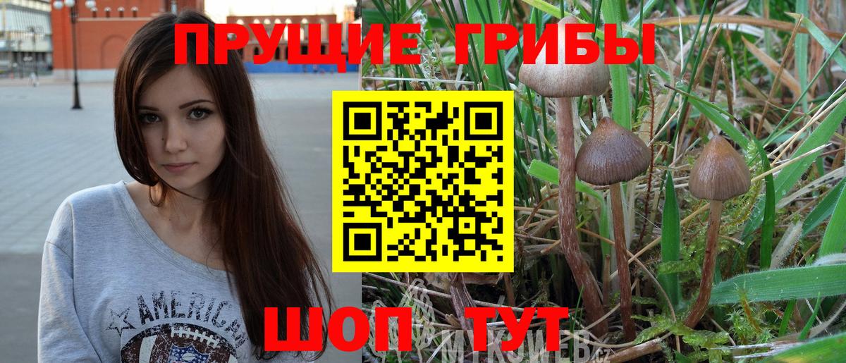 Псилоцибиновые грибы Psilocybe  Вход с VPN  Галлюциногенные грибы мицелий  Псков 